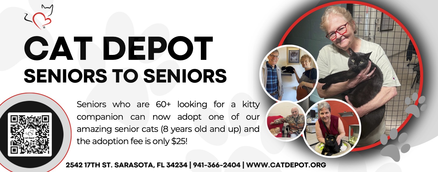 Cat Depot